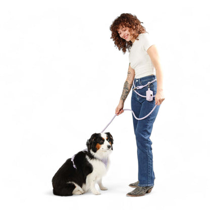 hands-free kismet dog leash adjustable waist worn