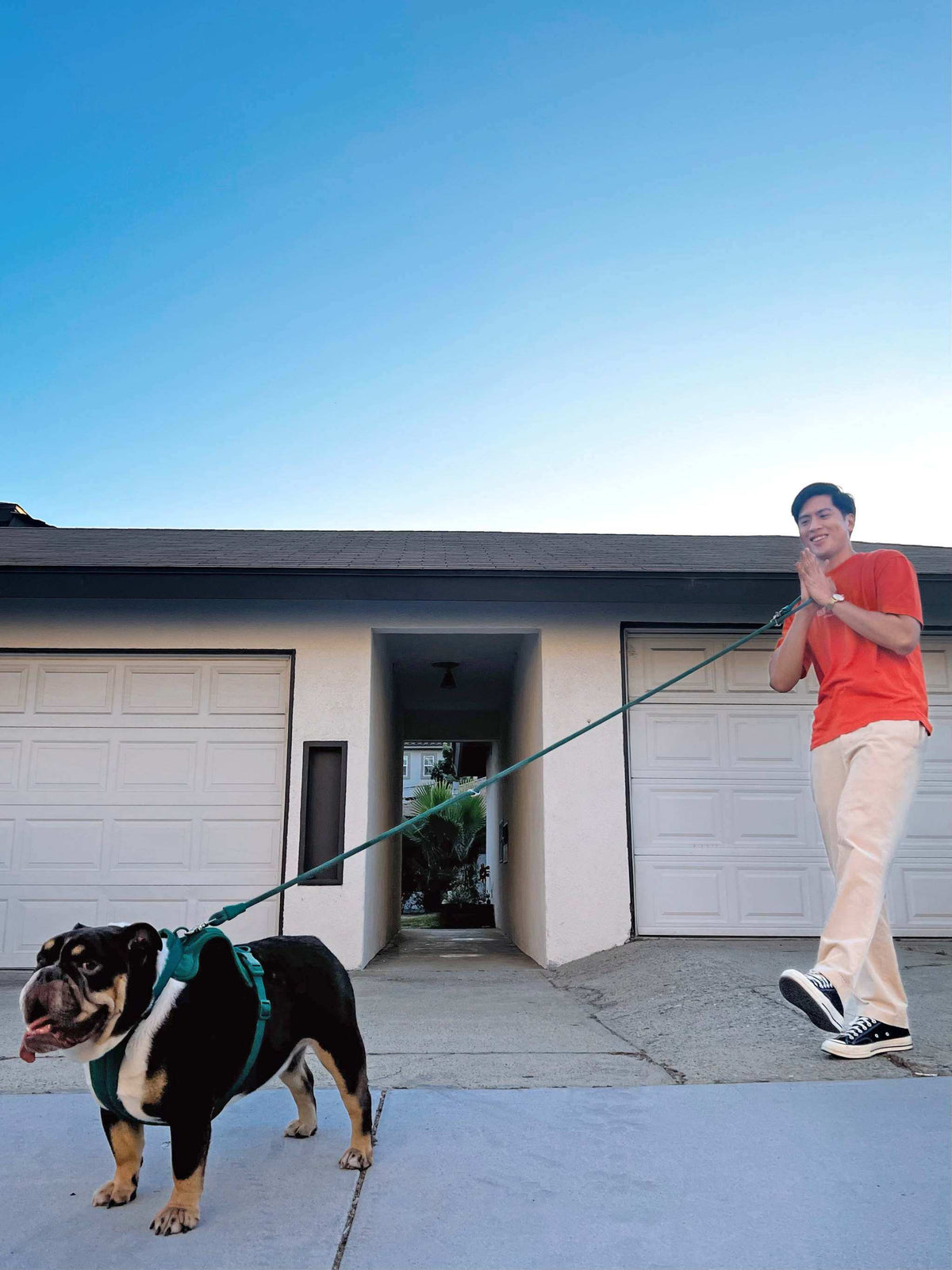 Hands-free Kismet dog leash worn around waist for easy dog walking