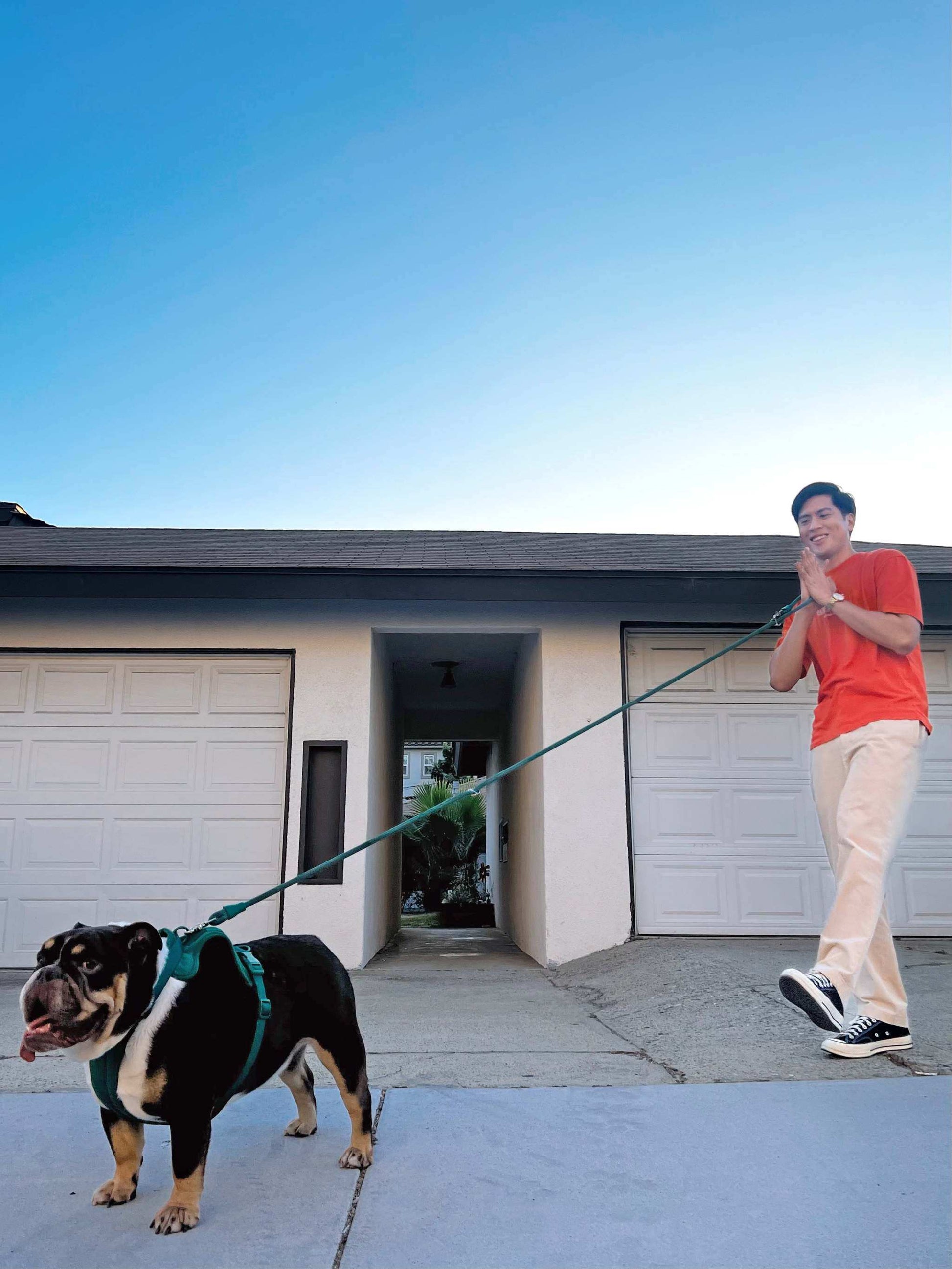 Hands-free Kismet dog leash worn around waist for easy dog walking