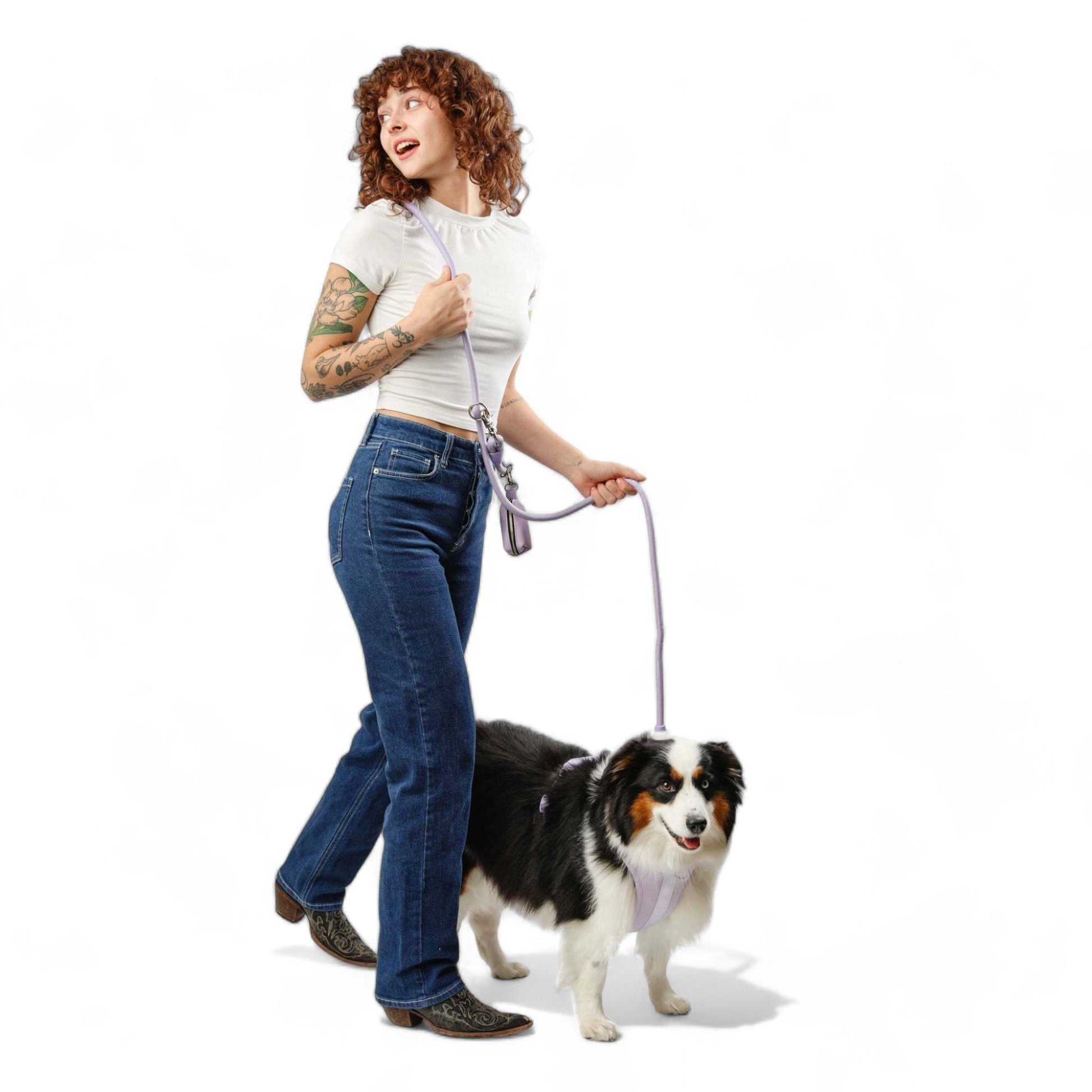 Hands-free Kismet dog leash adjustable and lightweight