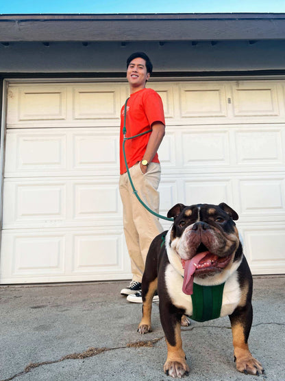 hands-free kismet dog leash worn around waist with metal hooks