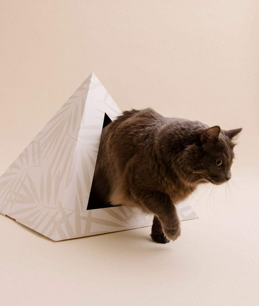 Gray cat exiting a Neutral Palm patterned cardboard cat pyramid hideaway on beige background