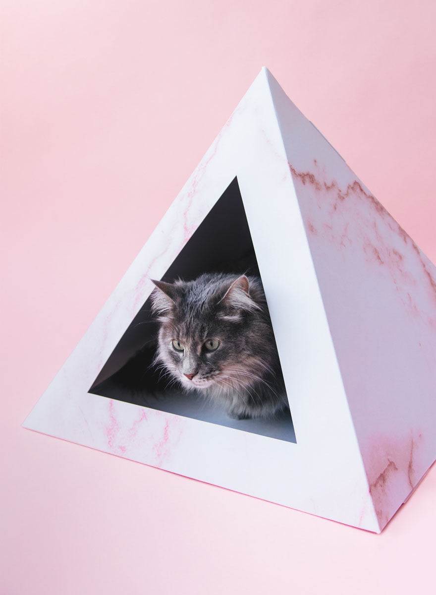 Rose Quartz cardboard cat pyramid with a cat inside on a pink background