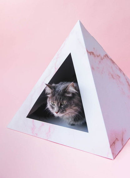 Rose Quartz cardboard cat pyramid with a cat inside on a pink background