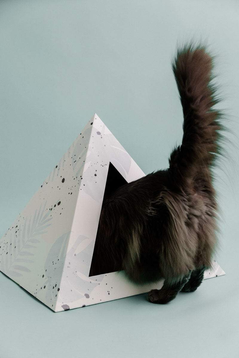 Oasis Cardboard Cat Pyramid with artistic design and a cat entering the cozy hideaway