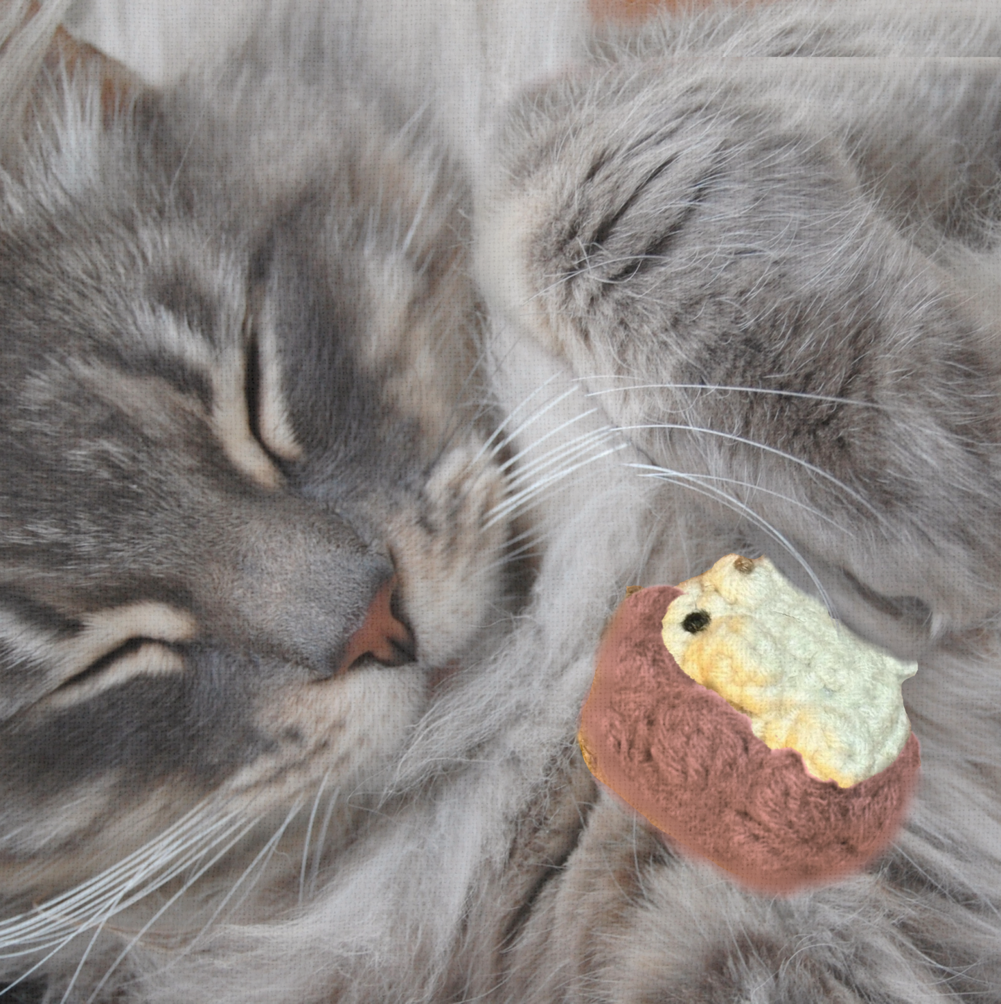 Harold the hedgehog | lightweight cat toy