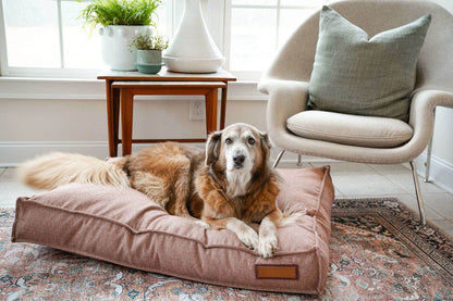 Brown dog resting on a Pittie Pink Lounger Pet Bed in a cozy living room setting
