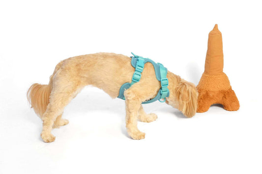 La Tour Eiffel shaped nose work dog toy for scent training