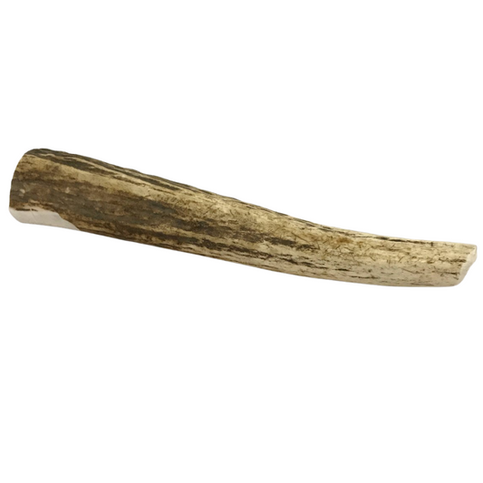 Large whole elk antler dog chew for aggressive chewers