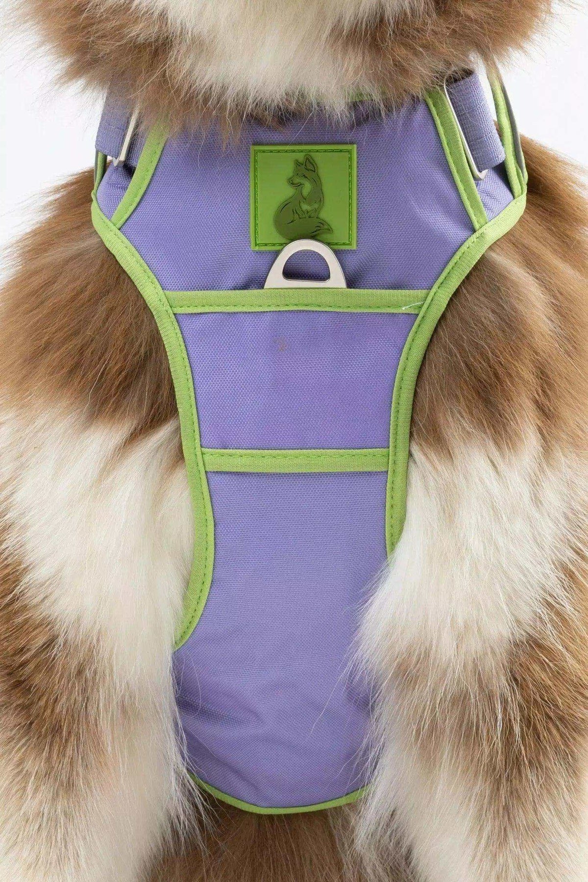 Lavender Garden Ultimate Dog Harness with reflective straps and metal clips