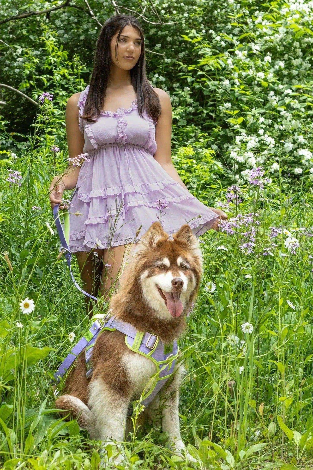 Lavender Garden Ultimate Dog Harness with reflective stitching and aluminum clips