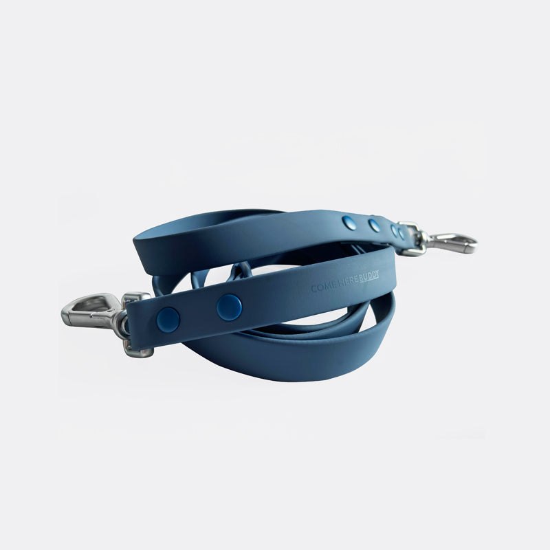 Dog Leash - Durable Waterproof Nylon Dog Leash for Easy Walks