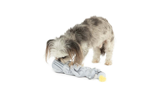 Liberty Nose Work dog toy with treat hiding and squeaker