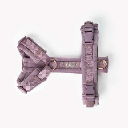 Lilac velvet dog harness with gold hardware and padded lining