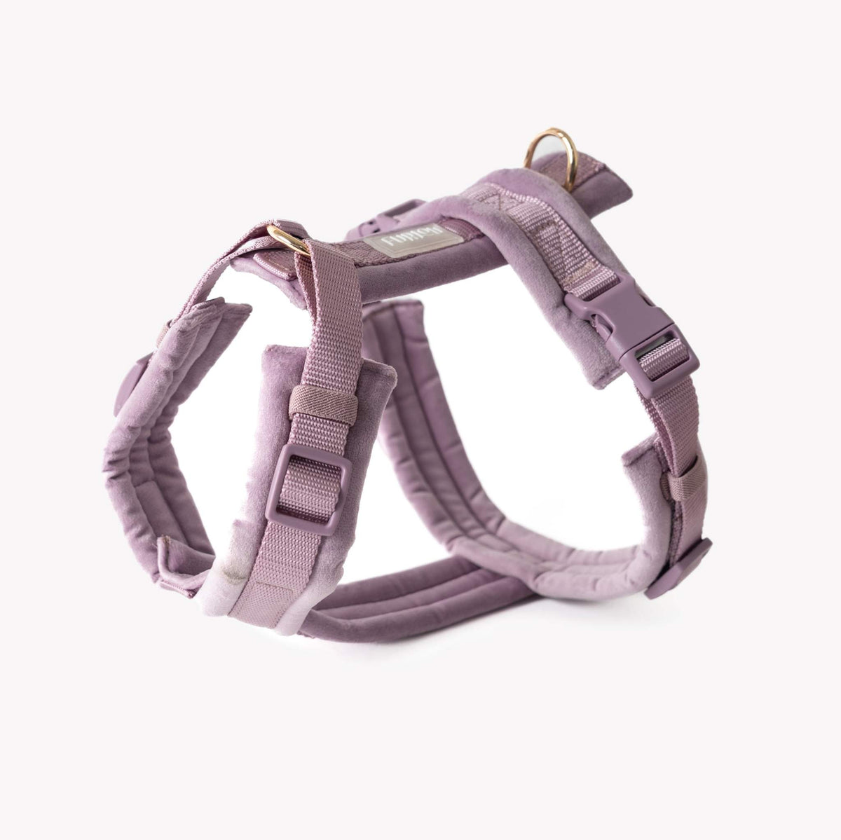 Lilac velvet dog harness with gold hardware and padded lining