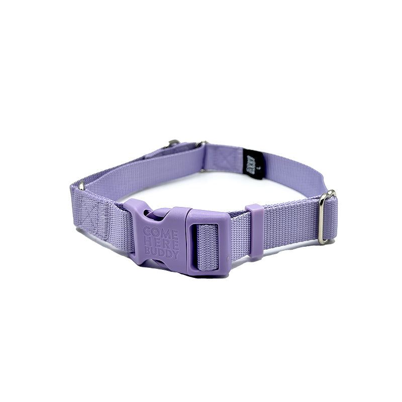 Martingale Dog Collar – Gentle, Safe and Stylish Dog Training Collar