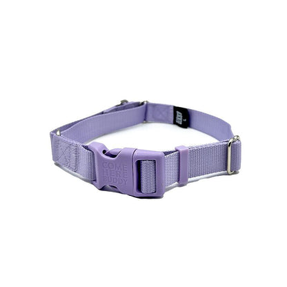 Martingale Dog Collar – Gentle, Safe and Stylish Dog Training Collar