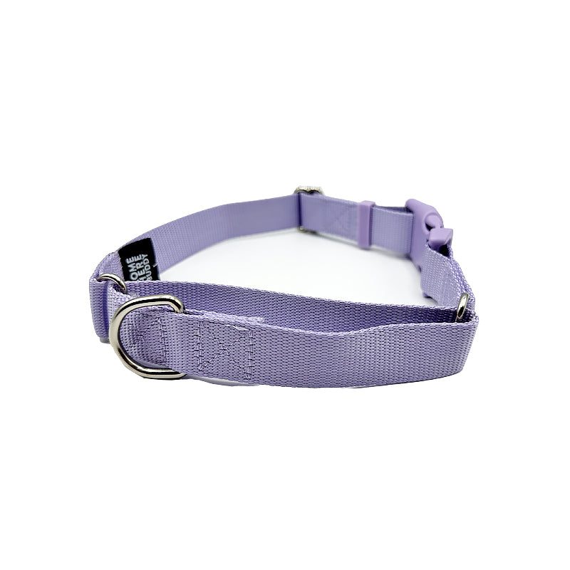 Martingale Dog Collar – Gentle, Safe and Stylish Dog Training Collar