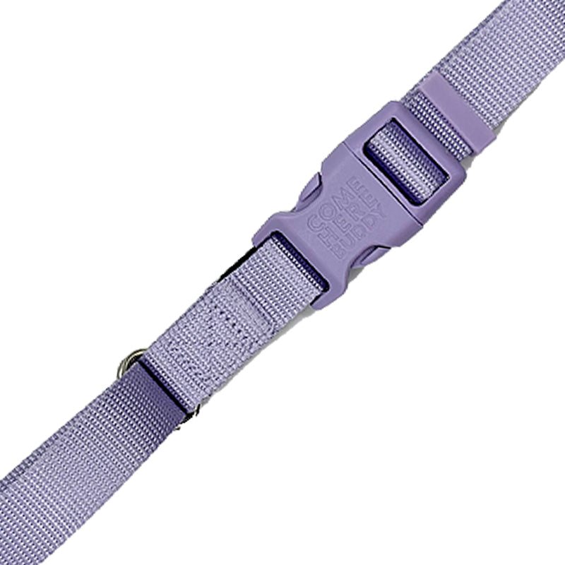 Martingale Dog Collar – Gentle, Safe and Stylish Dog Training Collar
