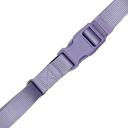 Martingale Dog Collar – Gentle, Safe and Stylish Dog Training Collar