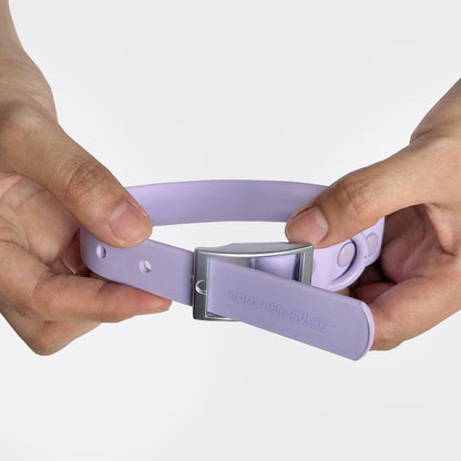 Everyday Collar - Durable, Comfortable Pet Collar for All Weather Use