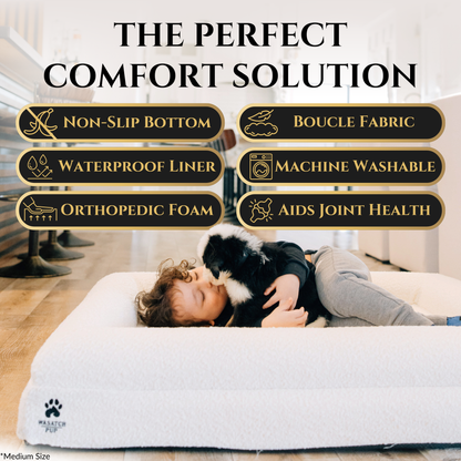 Luxury orthopedic dog bed with memory foam and plush boucle cover