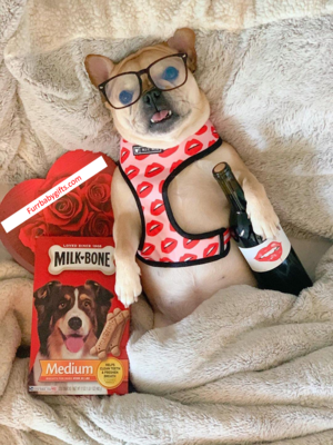 luxury red lips breathable mesh pet harness with leash