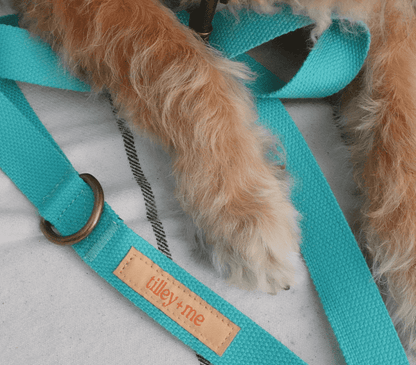 Malibu Sunset Sustainable Hemp Cotton Adjustable Dog Leash 