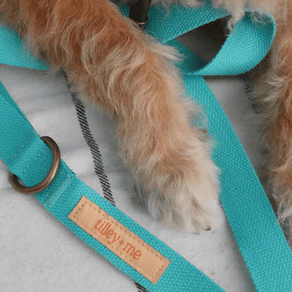 Malibu Sunset Sustainable Hemp Cotton Adjustable Dog Collar 
