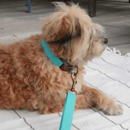 Malibu Sunset Sustainable Hemp Cotton Adjustable Dog Collar 