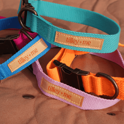 Malibu Sunset Sustainable Hemp Cotton Adjustable Dog Collar 