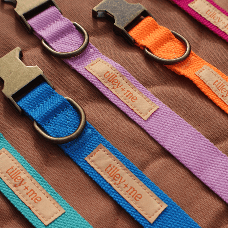 Malibu Sunset Sustainable Hemp Cotton Adjustable Dog Collar– Durable & Soft