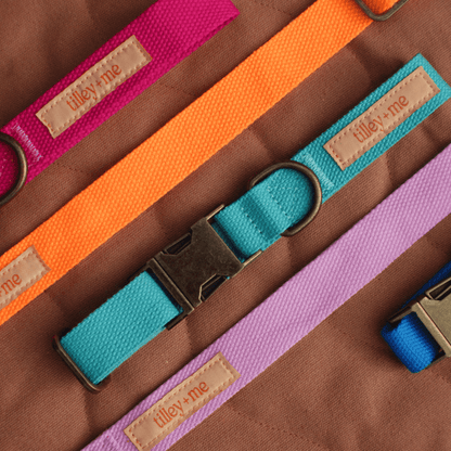 Malibu Sunset Sustainable Hemp Cotton Adjustable Dog Leash 