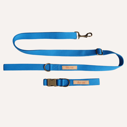 Malibu Sunset sustainable hemp cotton adjustable dog leash with brass hardware