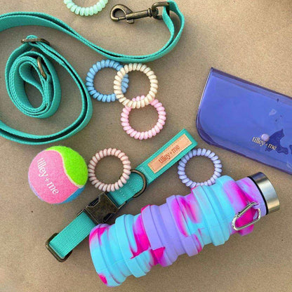 Malibu Sunset eco-friendly hemp cotton adjustable dog leash with brass hardware