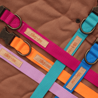 Malibu Sunset sustainable hemp cotton adjustable dog leash with leather tag