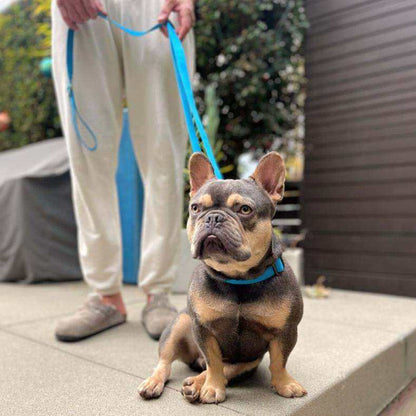 Malibu Sunset adjustable dog leash made of sustainable hemp cotton with antique brass hardware