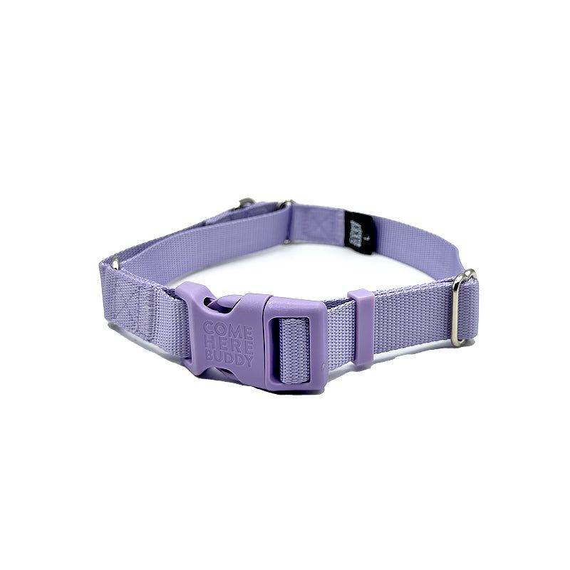 Come Here Buddy martingale dog collar with nylon webbing and fast-release buckle