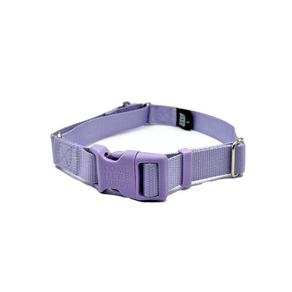 Come Here Buddy martingale dog collar with nylon webbing and fast-release buckle