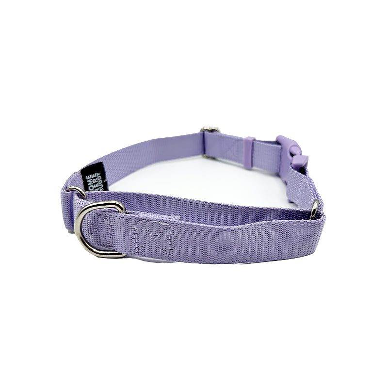 Durable martingale dog collar with nylon strap and metal D-rings