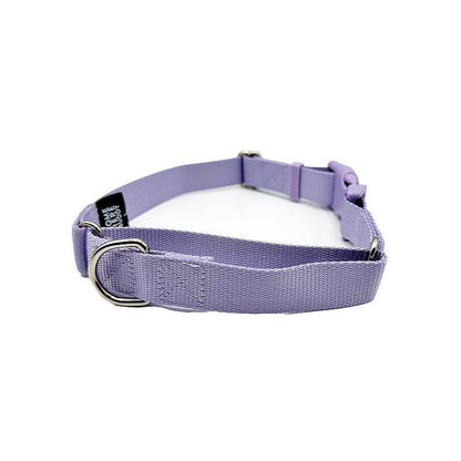 Durable martingale dog collar with nylon strap and metal D-rings