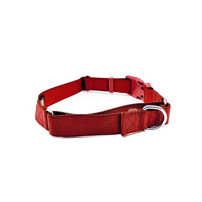 Durable nylon martingale dog collar with fast-release buckle