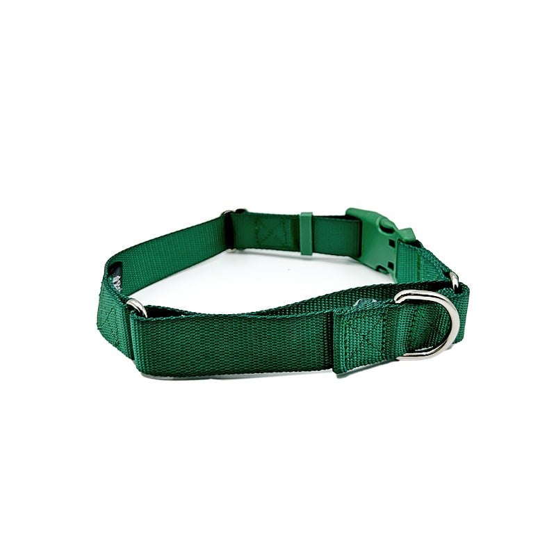 Durable nylon martingale dog collar with fast-release buckle