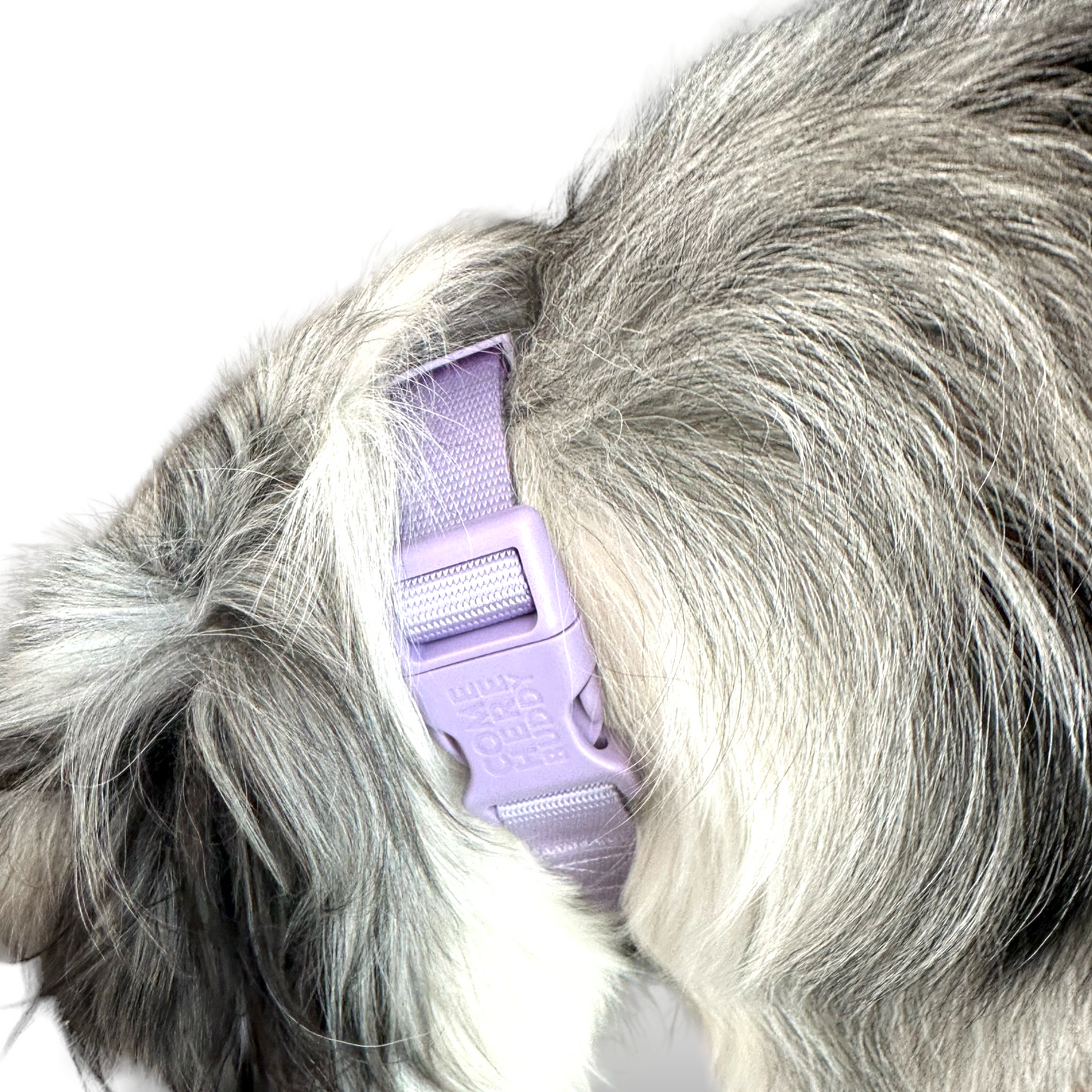 Durable nylon martingale dog collar with metal buckle and D-rings