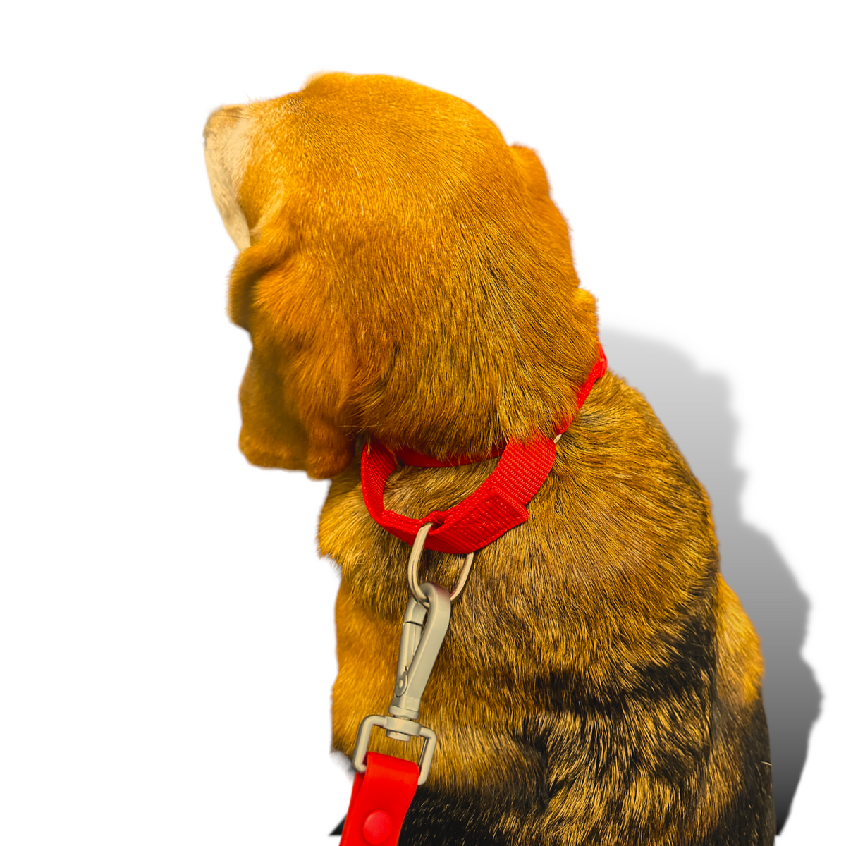 Durable nylon martingale dog collar with quick-release buckle