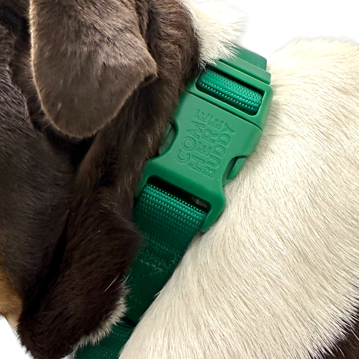 Durable nylon martingale dog collar with quick-release buckle
