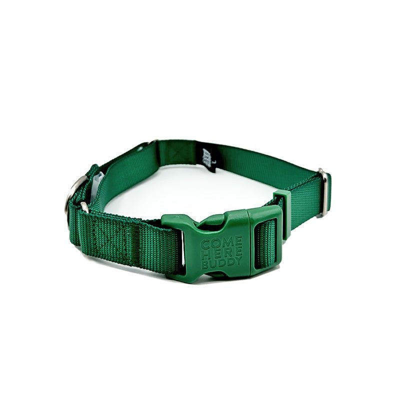 Durable nylon martingale dog collar with quick-release buckle and dual-loop design