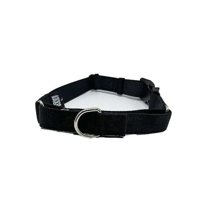 Martingale dog collar with nylon strap and metal buckle