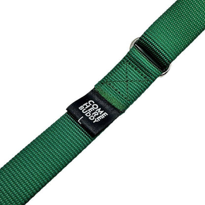 Durable martingale dog collar with nylon webbing and secure buckle
