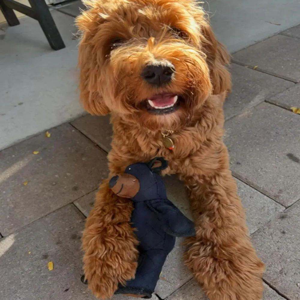 Plush Squeaky Bear Dog Toy in dark navy fabric with a brown bear face, held beneath a fluffy tan dog’s paws.